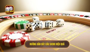 hướng dẫn bắt cầu sicbo hiệu quả