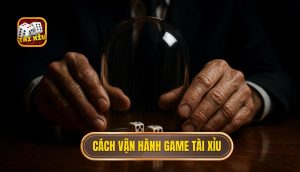 cách vận hành game tài xỉu