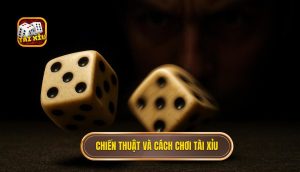 chiến thuật và cách chơi tài xỉu
